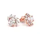 Rose Gold__Jeweloporium