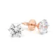 Rose Gold__Jeweloporium
