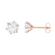 Rose Gold__Jeweloporium
