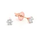 Rose Gold__Jeweloporium