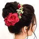 Dark Pink__HAIRFLARE