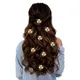 GOLDEN__HAIRFLARE