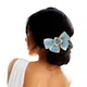 BLUE__HAIRFLARE
