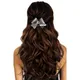 SILVER__HAIRFLARE