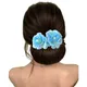 SKY BLUE__HAIRFLARE