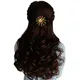 RAINBOW__HAIRFLARE