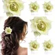 White__HAIRFLARE