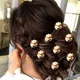 Carrot Red__HAIRFLARE