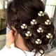 Maroon__HAIRFLARE