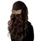 Golden__HAIRFLARE