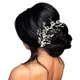Silver__HAIRFLARE