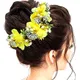 Yellow__HAIRFLARE