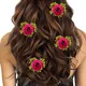 Dark Pink__HAIRFLARE