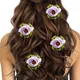 Purple__HAIRFLARE