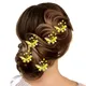 Yellow__HAIRFLARE