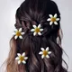 Yellow__HAIRFLARE