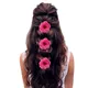 Dark Pink__HAIRFLARE