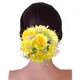 Yellow__HAIRFLARE
