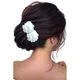 White__HAIRFLARE