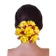 Yellow__HAIRFLARE