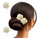 White__HAIRFLARE