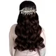 SILVER__HAIRFLARE