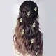 Golden__HAIRFLARE