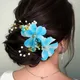 Blue__HAIRFLARE