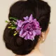 Purple__HAIRFLARE