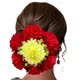Red__HAIRFLARE