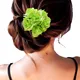 Light Green__HAIRFLARE