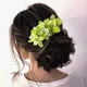 Green__HAIRFLARE