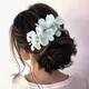 White__HAIRFLARE