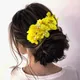 Yellow__HAIRFLARE