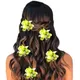 Green__HAIRFLARE
