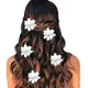 White__HAIRFLARE