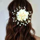 Peach__HAIRFLARE