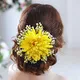 Dark Yellow__HAIRFLARE