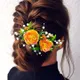 Orange__HAIRFLARE