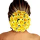 Yellow__HAIRFLARE