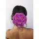 Purple__HAIRFLARE