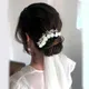 White__HAIRFLARE