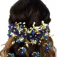 Blue__HAIRFLARE