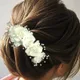 White__HAIRFLARE