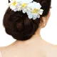 White__HAIRFLARE