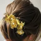 Golden__HAIRFLARE
