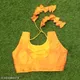 YELLOW__Swetvaani