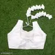 WHITE__Swetvaani