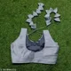 GREY__Swetvaani