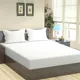Pearl__The Home Talk